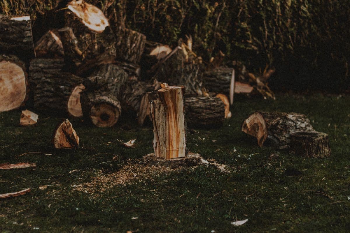 Emergency storm damage tree removal